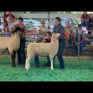 Meet your Posher, Kate